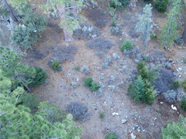 15024 Chestnut, Pine Mountain Club, CA 93222
