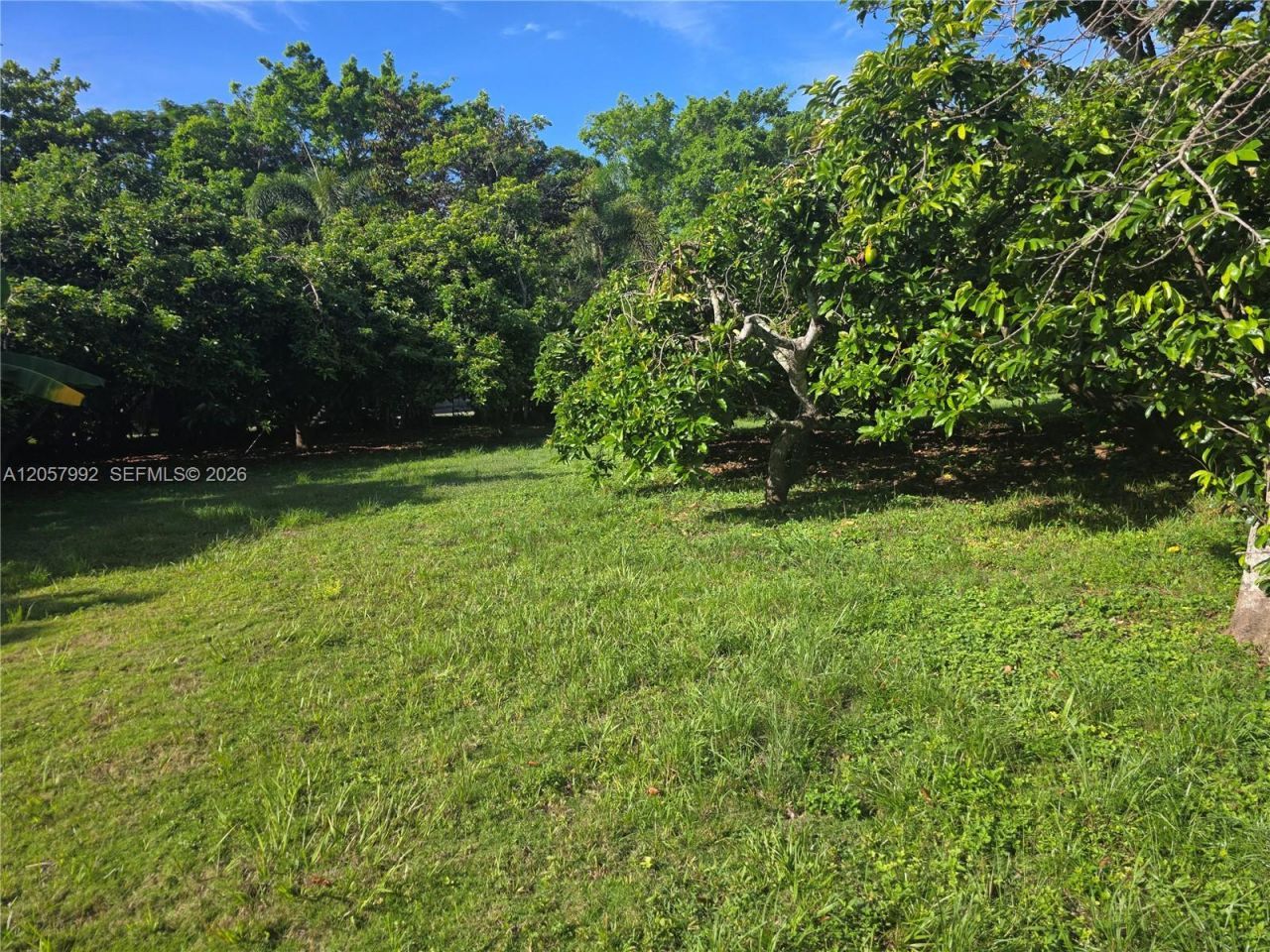 18391 SW 204th St, Miami, FL 33187 Photo