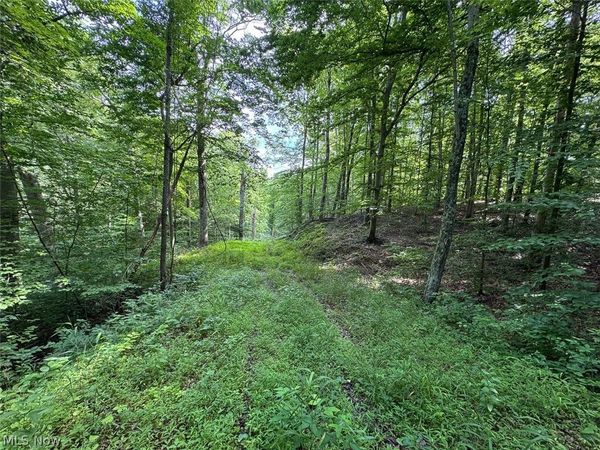 Township Rd 289 , Corning, OH 43730
