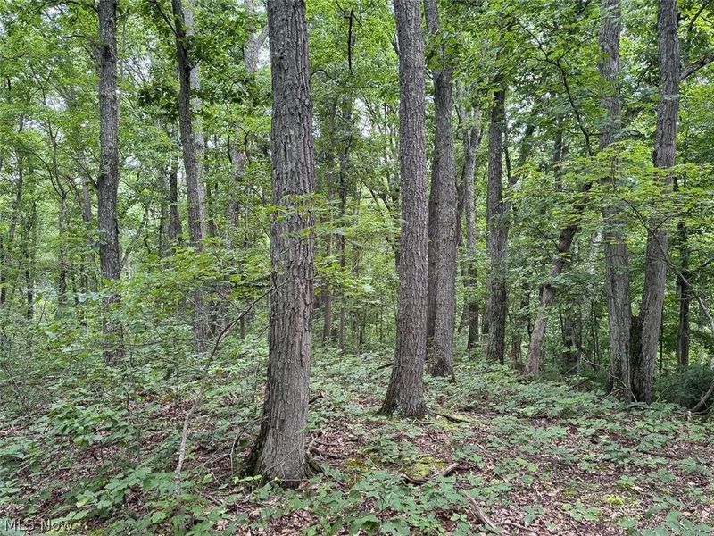 Township Rd 289 , Corning, OH 43730 Photo 12