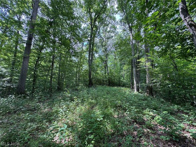 Township Rd 289 , Corning, OH 43730 Photo 2