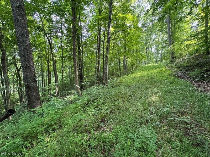 Township Rd 289 , Corning, OH 43730 Photo 5