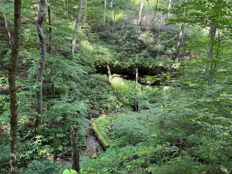 Township Rd 289 , Corning, OH 43730 Photo 9