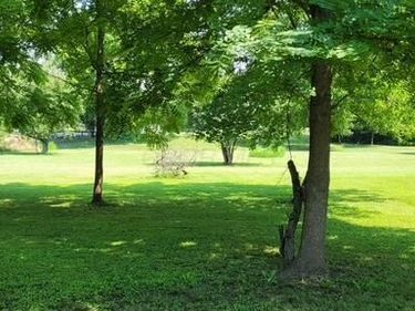 53 Williams Street, Lockbourne, OH 43137