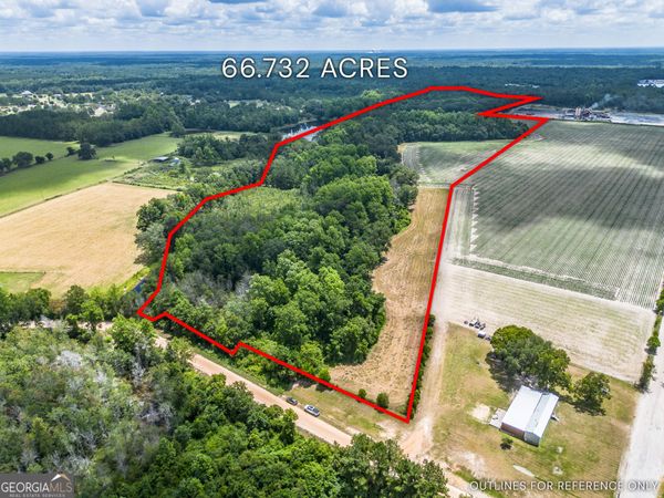 0 Nesbitt Road, Odum, GA 31555