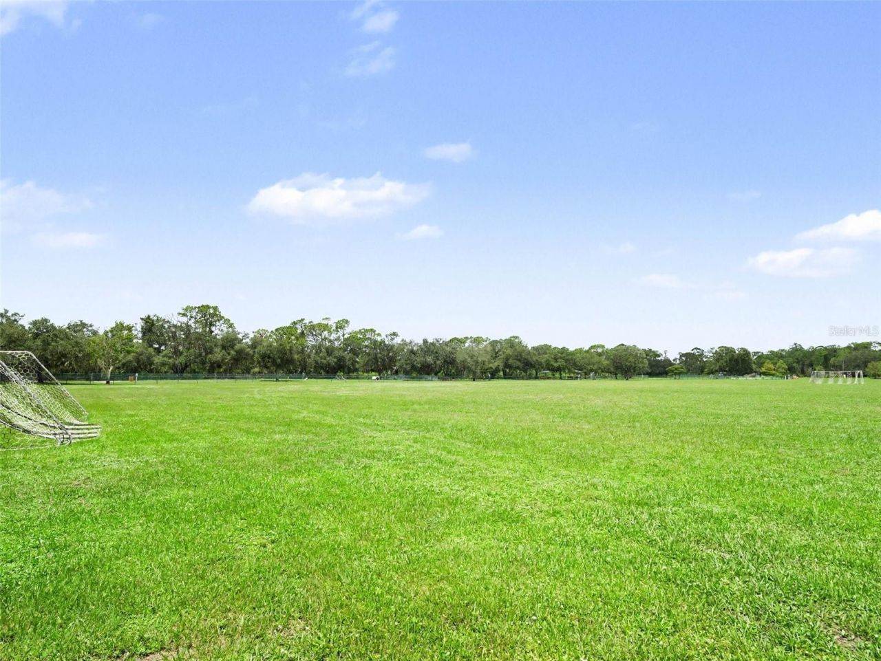 14146 Cattle Egret Pl, Lakewood Ranch, FL 34202 Photo