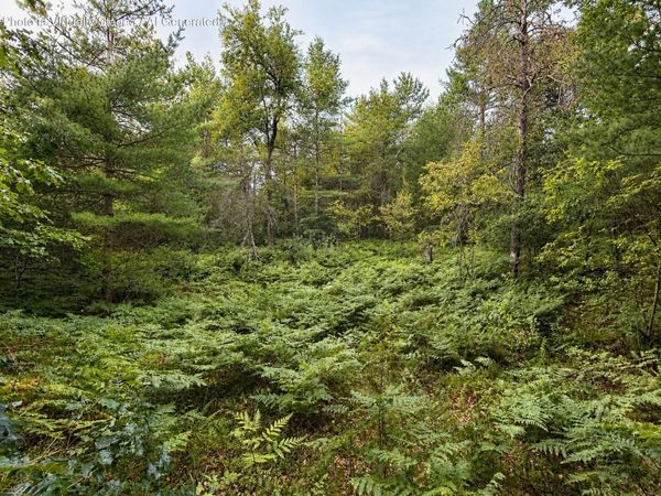 10 Acres Bear Lake Road, Johannesburg, MI 49751