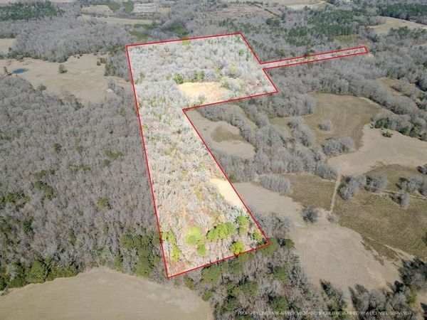 TBD Stevens Road , Marietta, TX 75566