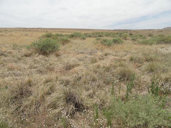 Canyon, Laguna, NM 87026