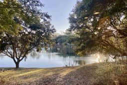 195 Hawks Nest Circle photo 4