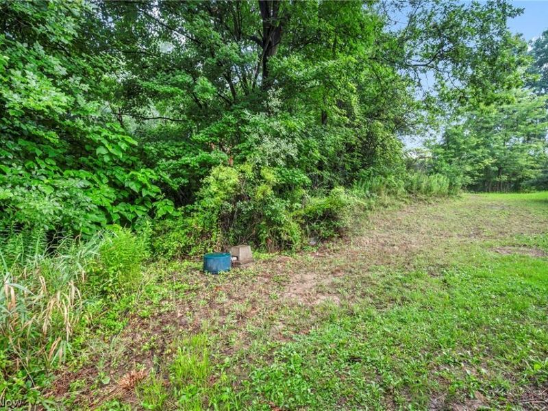 12280 Whitman Road, Doylestown, OH 44230 Photo 36