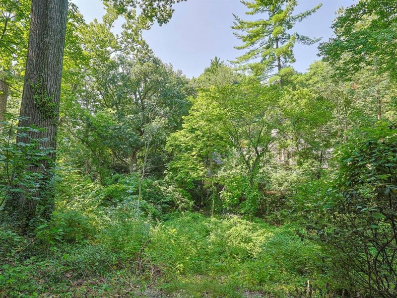5 Linden Lane, Wyoming, OH 45215 Photo 65