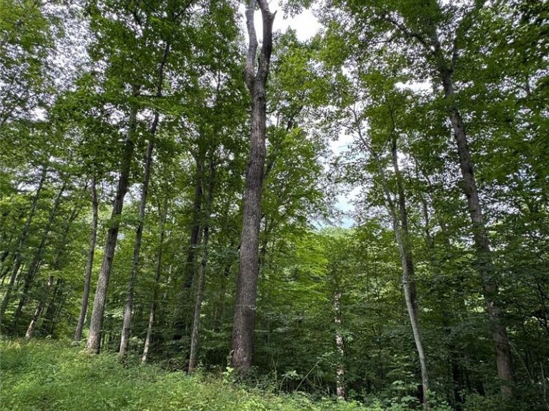 Township Rd 291 , Corning, OH 43730 Photo 11