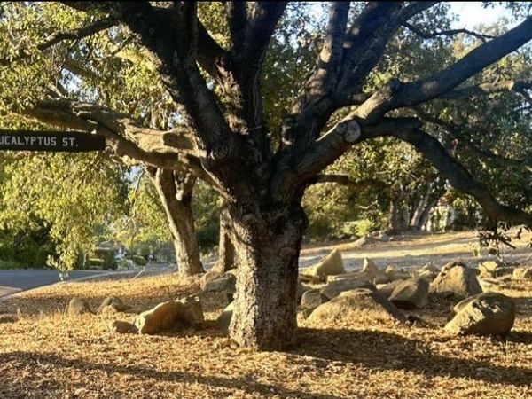 501 W Eucalyptus Street, Ojai, CA 93023
