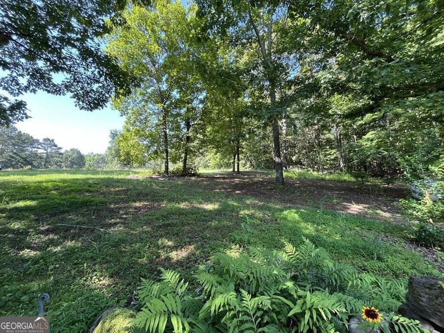 Property Image 59