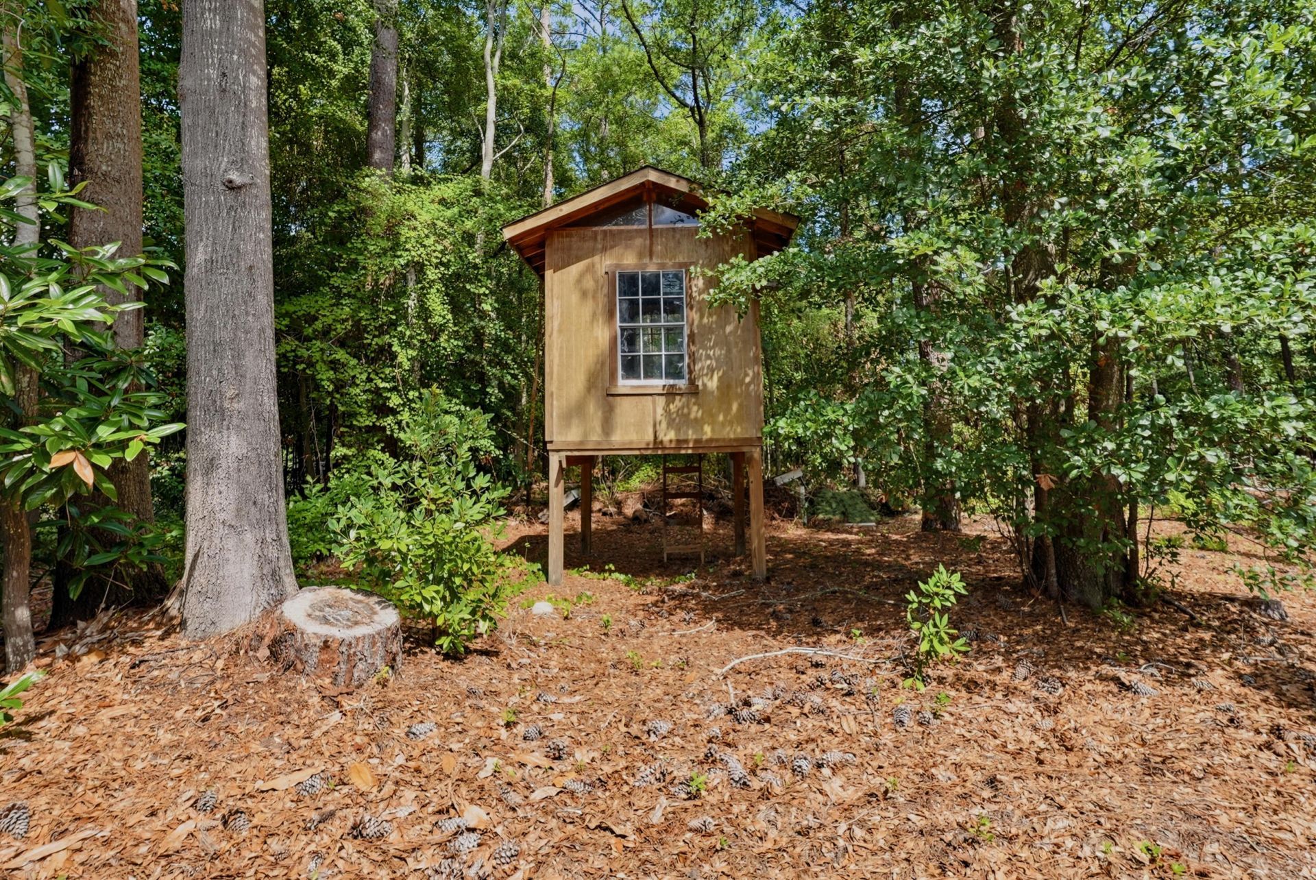 255 Longleaf Drive Photo 47
