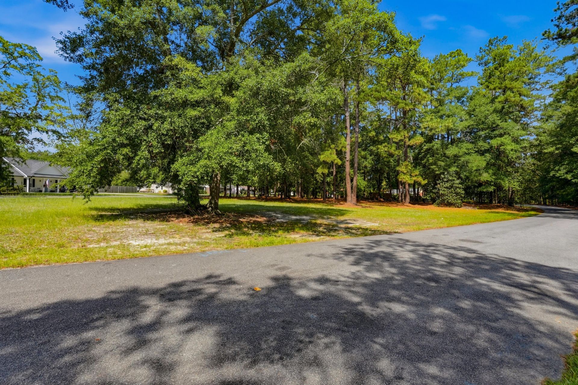 255 Longleaf Drive Photo 48