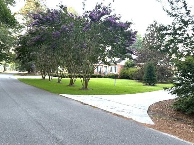 255 Longleaf Drive Photo 6