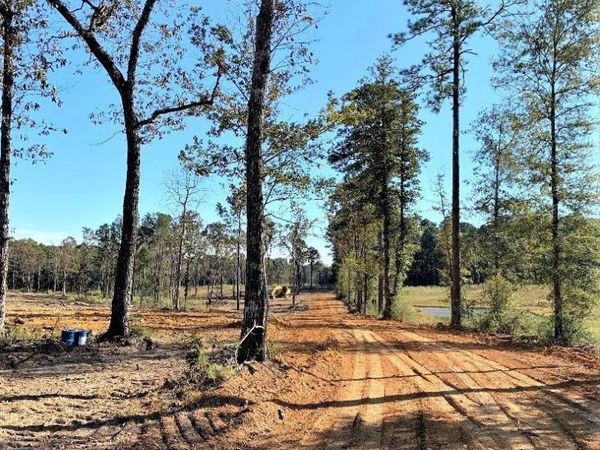 1A La Hwy 63, Clinton, LA 70722