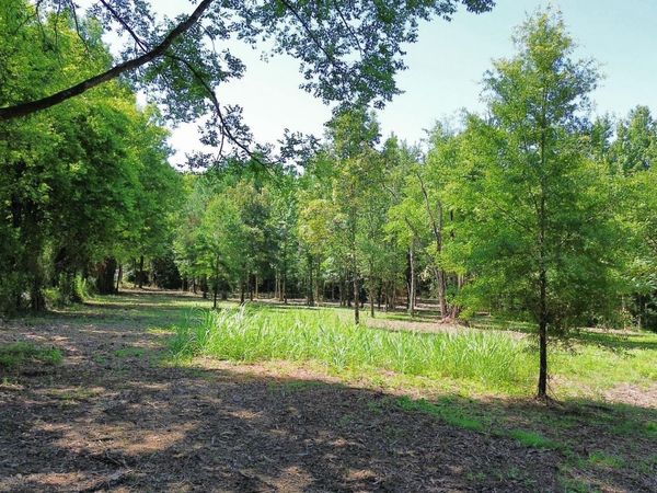 TBD Henshaw Road , Bismarck, AR 71929