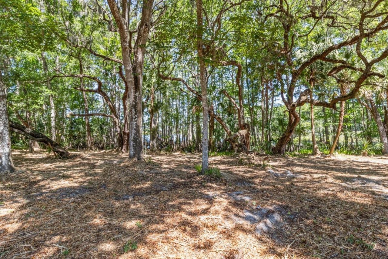 1255 S Estate Point , Inverness, FL 34450 Photo