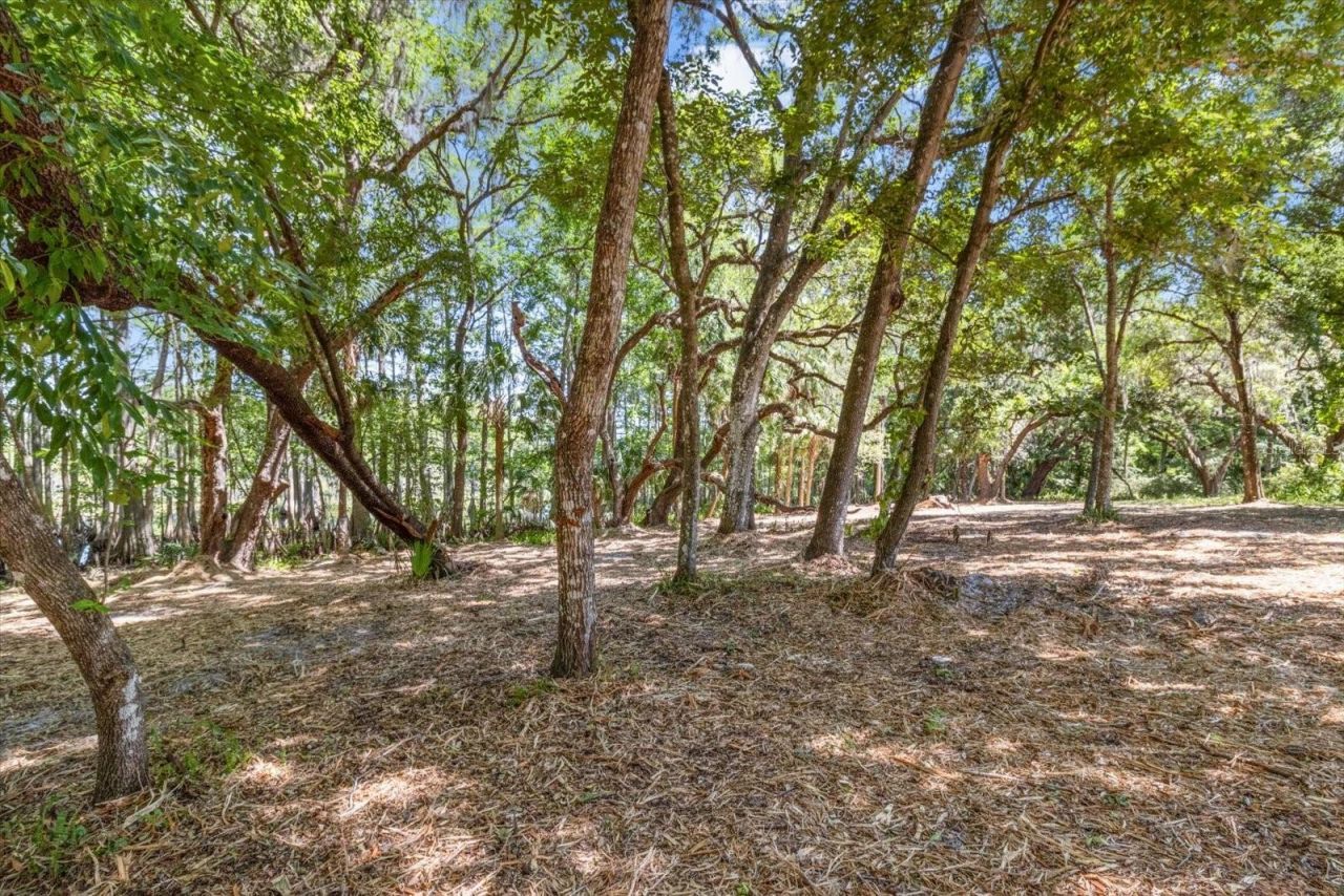 1255 S Estate Point , Inverness, FL 34450 Photo
