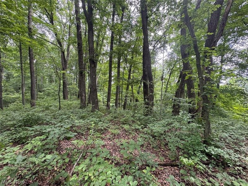 Township Rd 291 , Corning, OH 43730 Photo 13