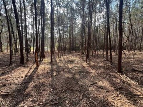 0 CHADWICK Loop, Pineville, LA 71360