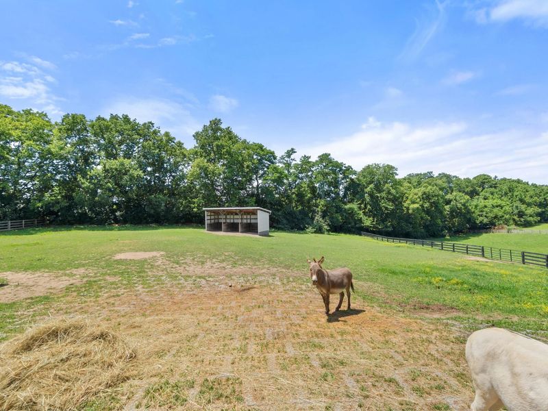 12005 Old Lexington Pike, Walton, KY 41094 Photo 36