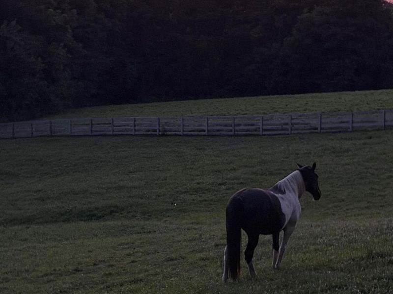 12005 Old Lexington Pike, Walton, KY 41094 Photo 38