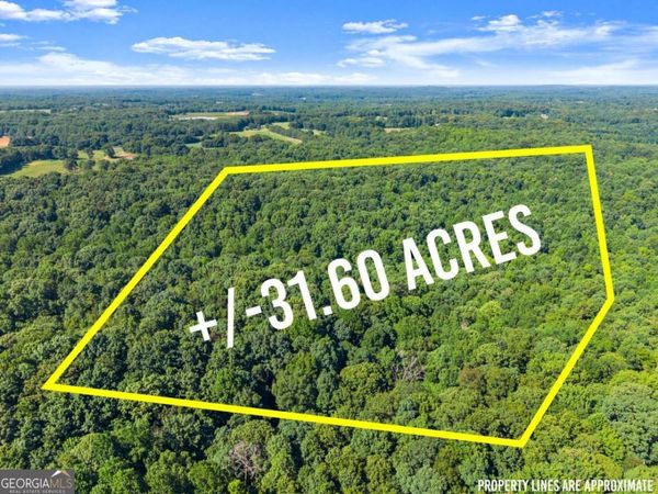 0 Prospect Road, Carnesville, GA 30521
