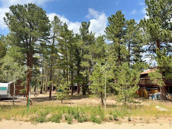 655 W Spruce St, Nederland, CO 80466