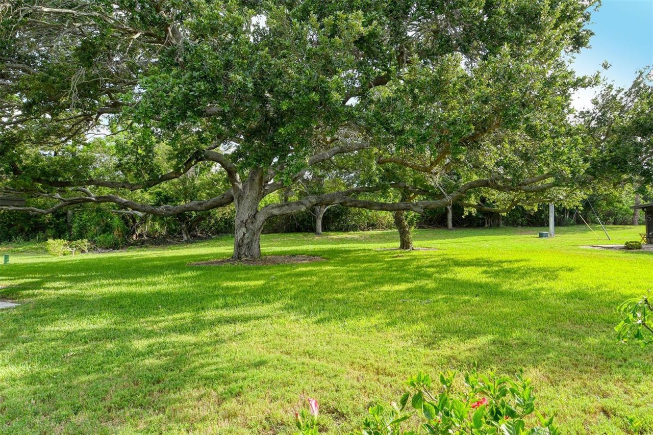 6206 26th Avenue W, Unit 8, Bradenton, FL 34209 Photo