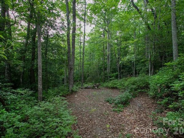 Lot 28 Big Hill Road , Brevard, NC 28712