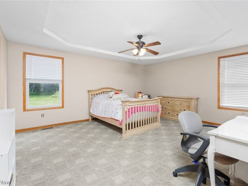 227 E Easton Road, Creston, OH 44217 Photo 23