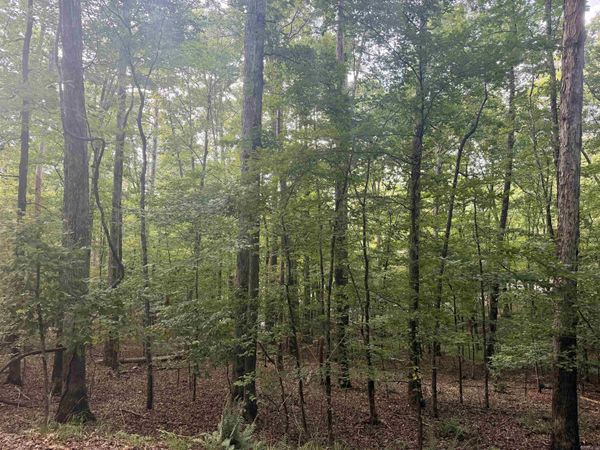 63 Ola Way, Hot Springs Village, AR 71909