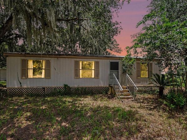 10239 LYONS AVENUE, LITHIA, FL 33547