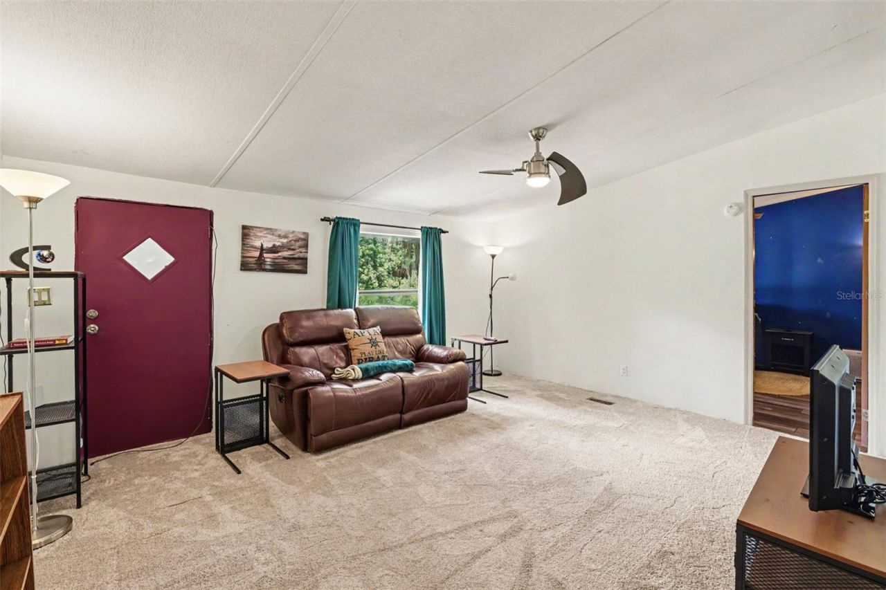 10239 Lyons Avenue, Lithia, FL 33547 Photo