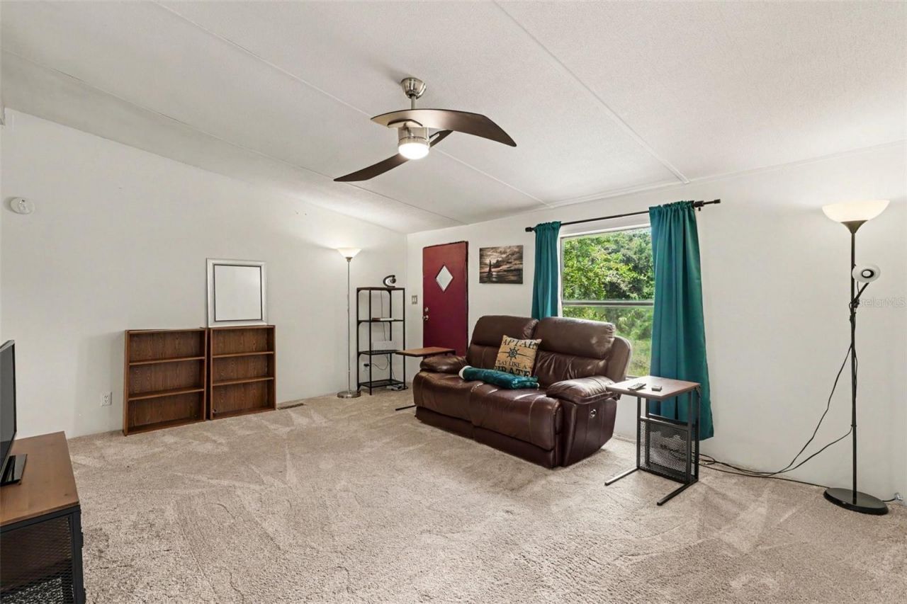 10239 Lyons Avenue, Lithia, FL 33547 Photo