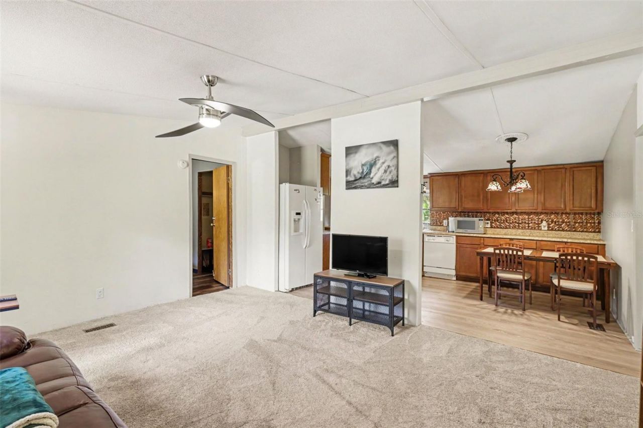 10239 Lyons Avenue, Lithia, FL 33547 Photo