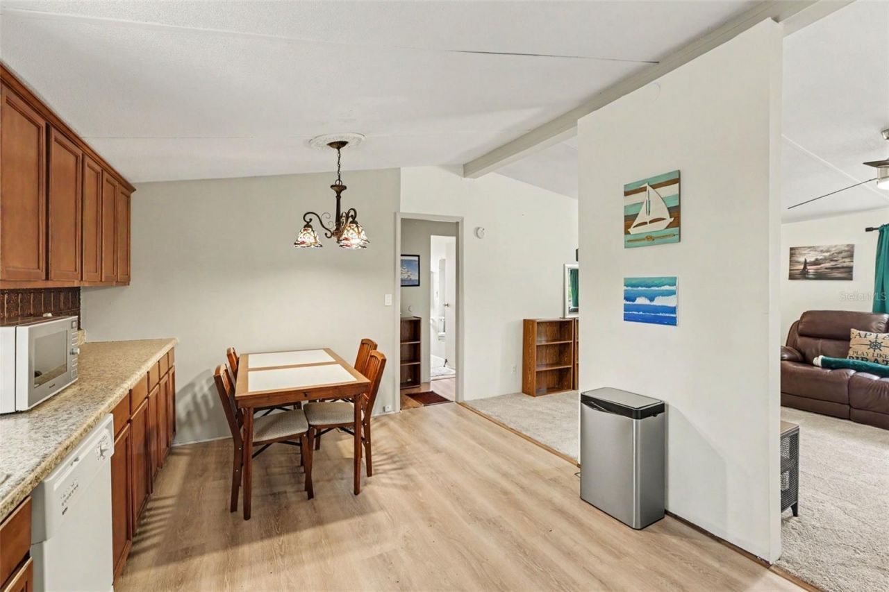 10239 Lyons Avenue, Lithia, FL 33547 Photo