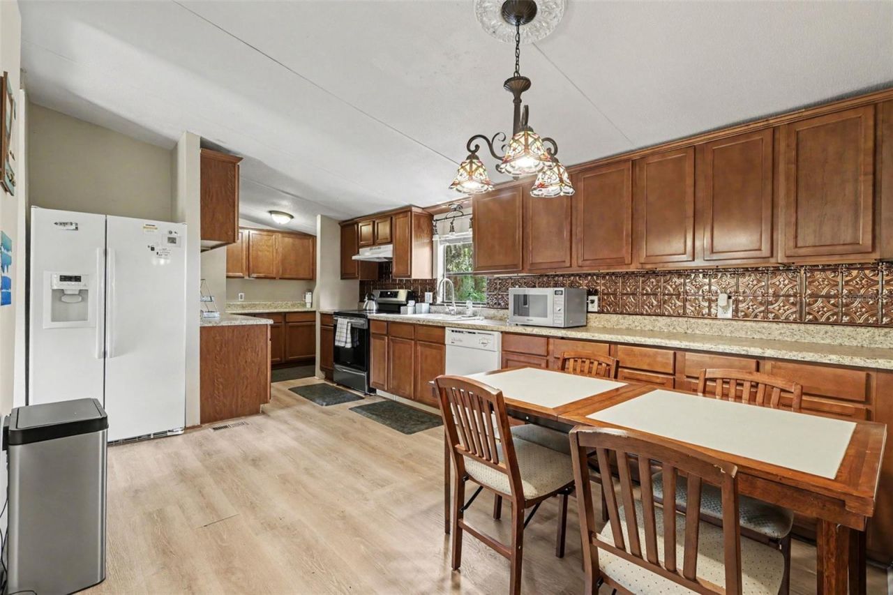 10239 Lyons Avenue, Lithia, FL 33547 Photo