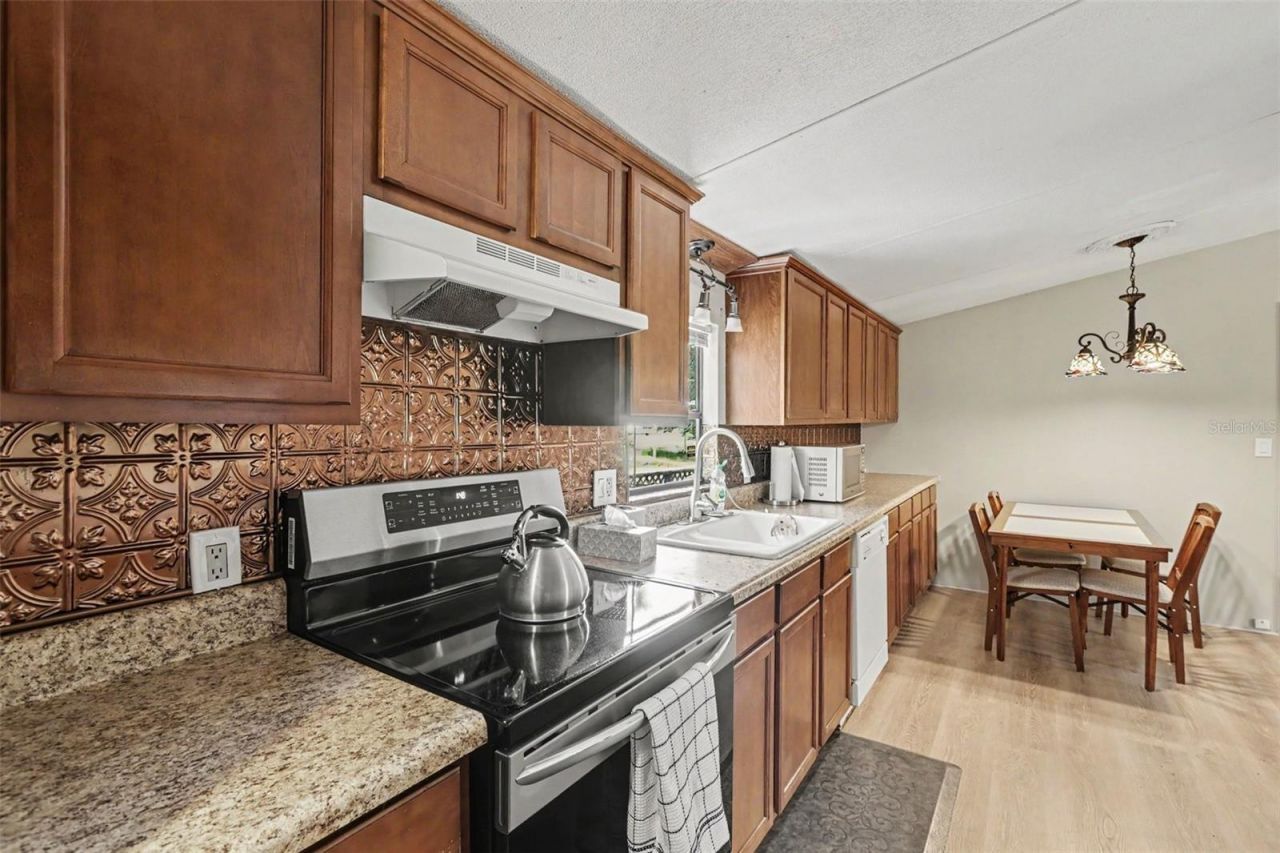 10239 Lyons Avenue, Lithia, FL 33547 Photo