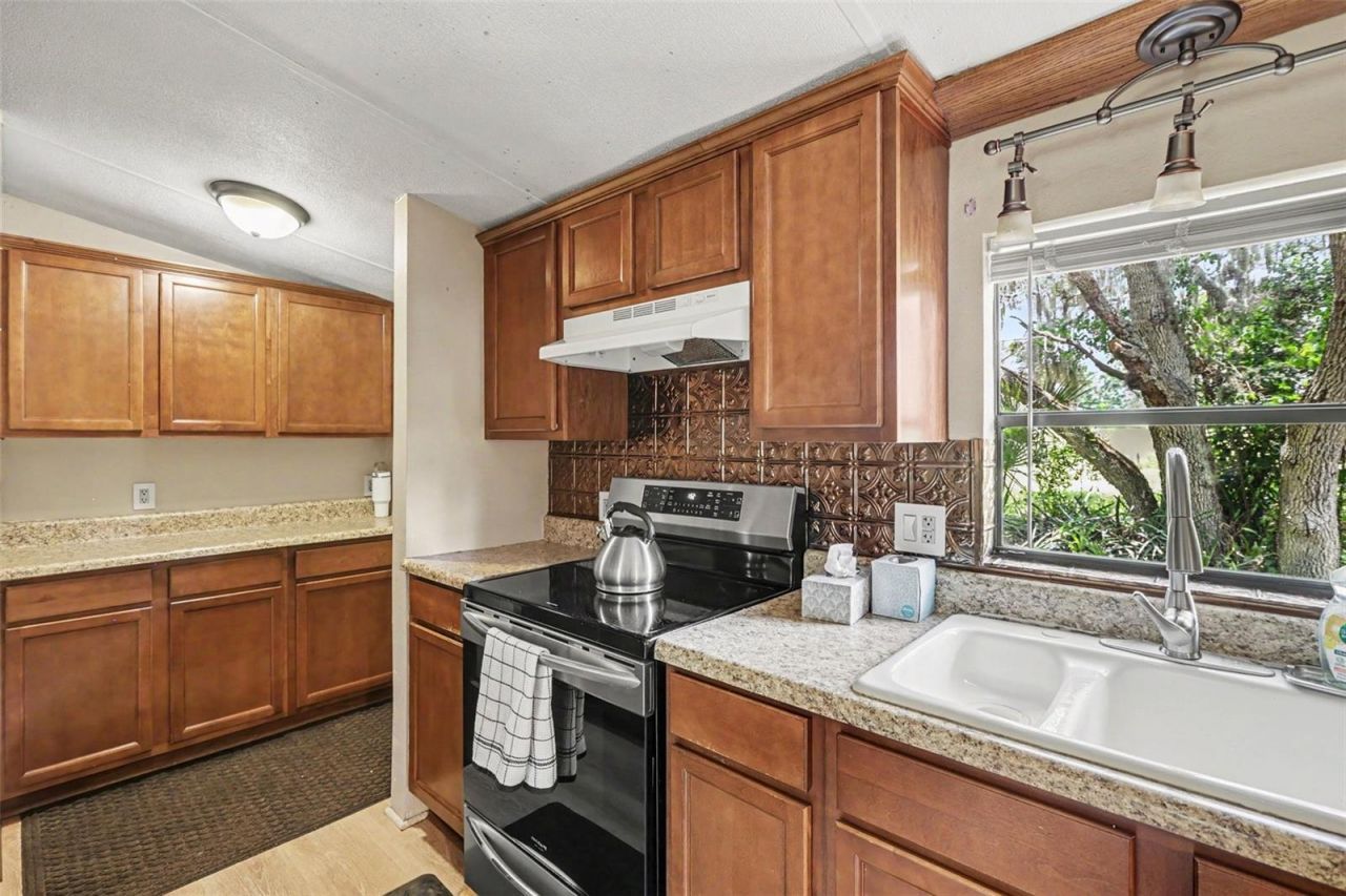 10239 Lyons Avenue, Lithia, FL 33547 Photo