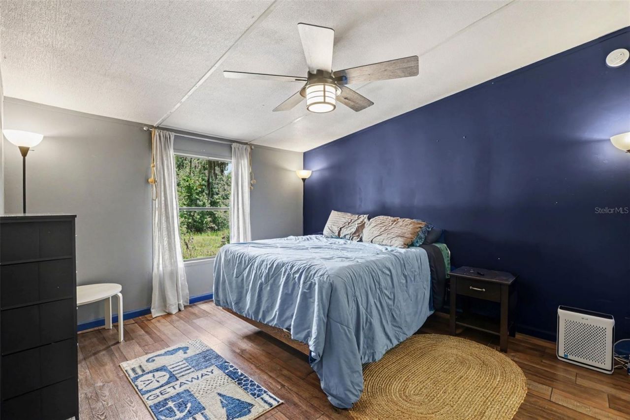 10239 Lyons Avenue, Lithia, FL 33547 Photo