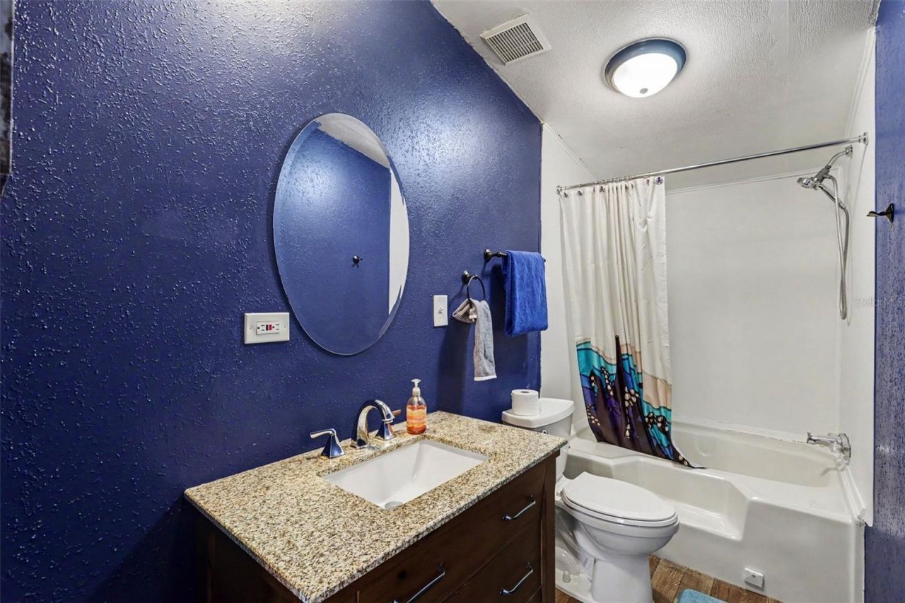 10239 Lyons Avenue, Lithia, FL 33547 Photo
