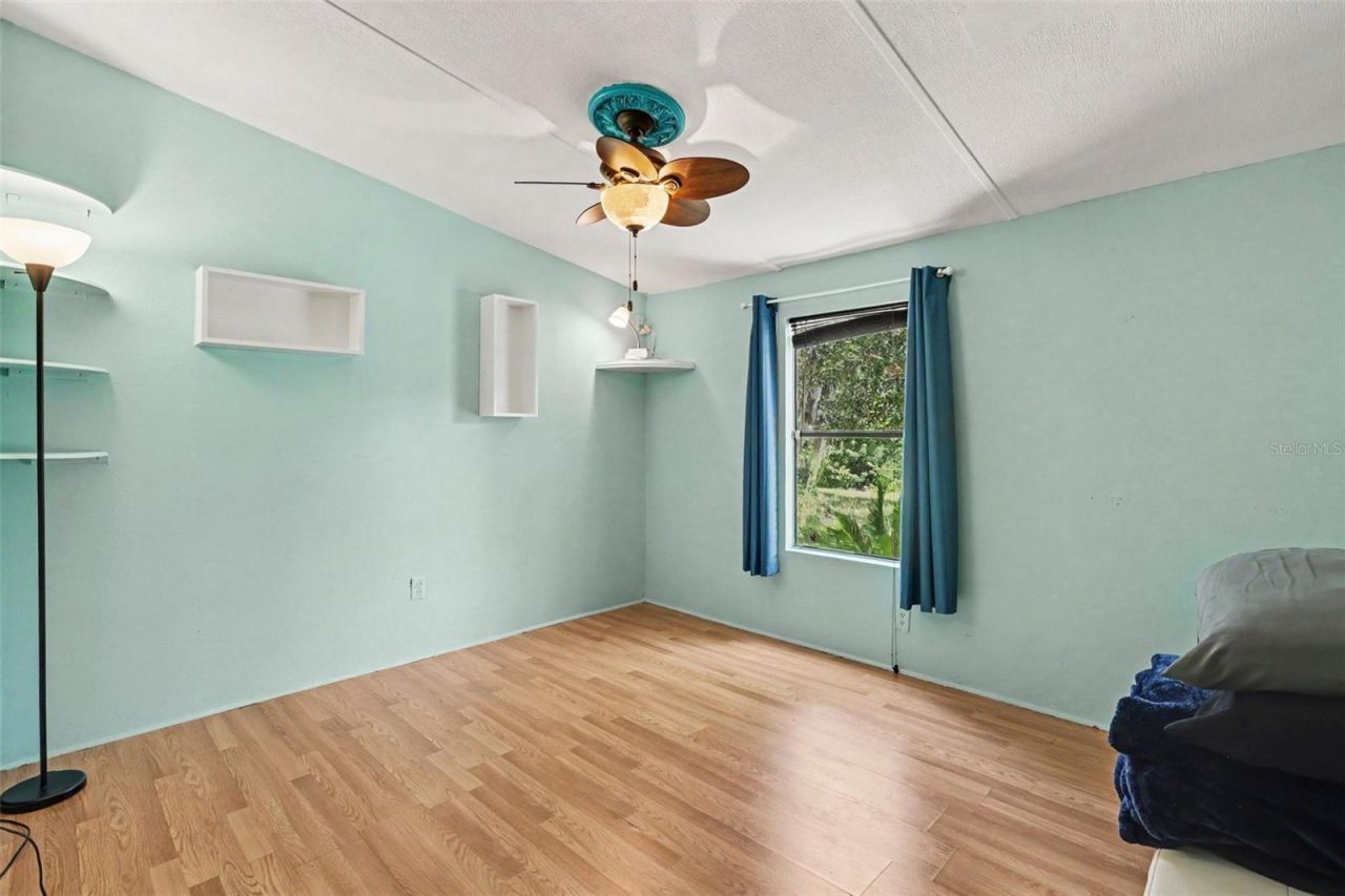 10239 Lyons Avenue, Lithia, FL 33547 Photo