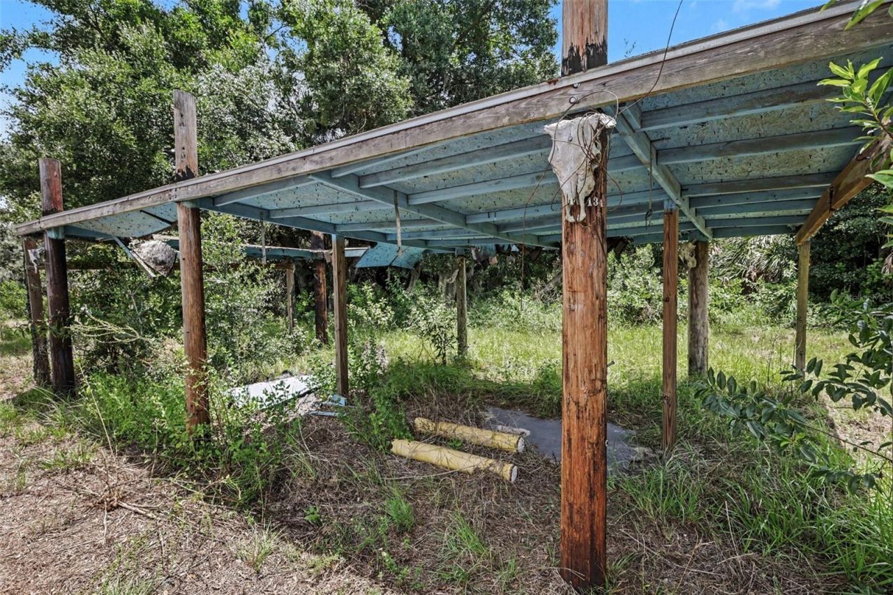 10239 Lyons Avenue, Lithia, FL 33547 Photo