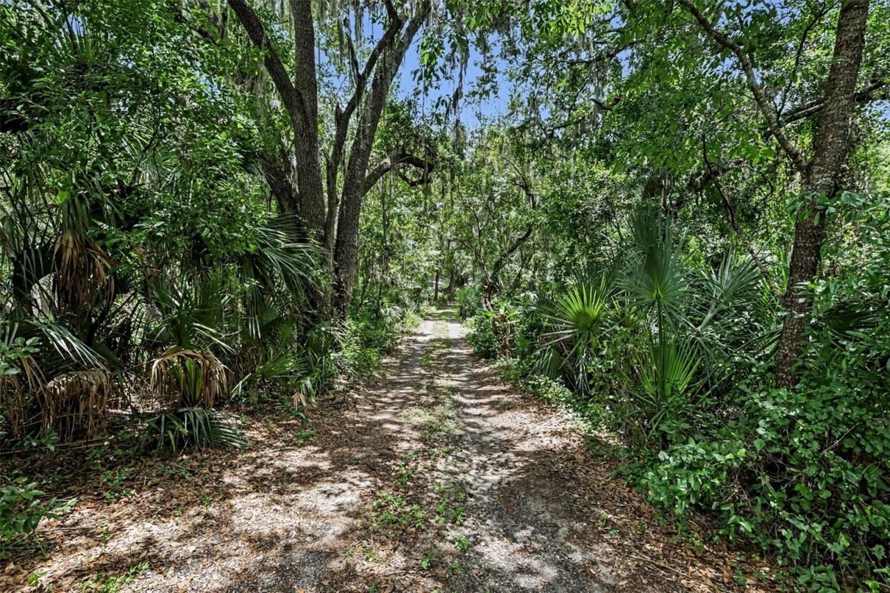 10239 Lyons Avenue, Lithia, FL 33547 Photo