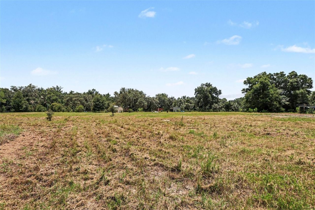10239 Lyons Avenue, Lithia, FL 33547 Photo
